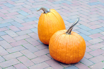 gourd and pumpkin