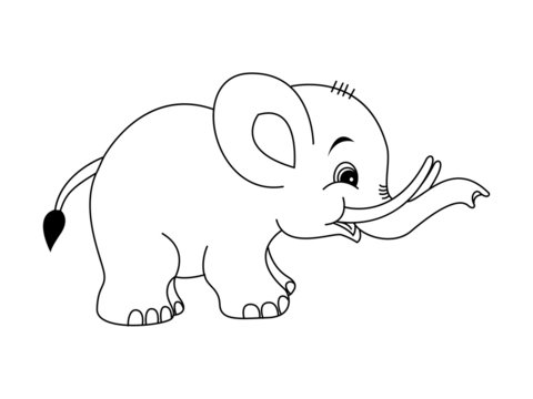 Vector illustration of baby elephant cartoon,Very Cute baby elephant standing.Outlined for coloring baby elephant vector image.