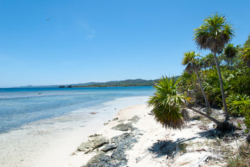 Roatan Island Mahogany Bay Beach Landscape