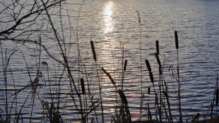 Wellen im Wasser mit der spiegelung der Sonne