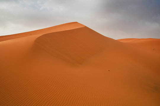 Sahara desert © Marina