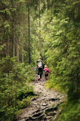Obraz premium Mom and daughter are walking in the forest