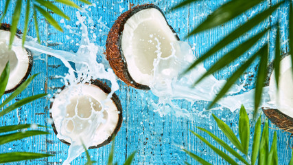 Freeze Motion Top Shot of Water Splashing on Coconut, close-up