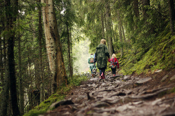 Obraz premium Mom and daughter are walking in the forest
