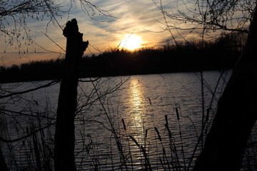 Wellen im Wasser mit der spiegelung der Sonne