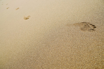 Fototapeta na wymiar Human footprints in the sand. Track of somebody walking on the beach.