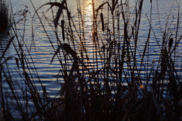 Wellen im Wasser mit der spiegelung der Sonne