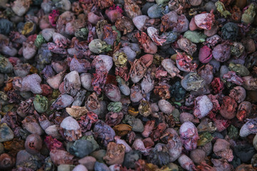 red and black peppercorns