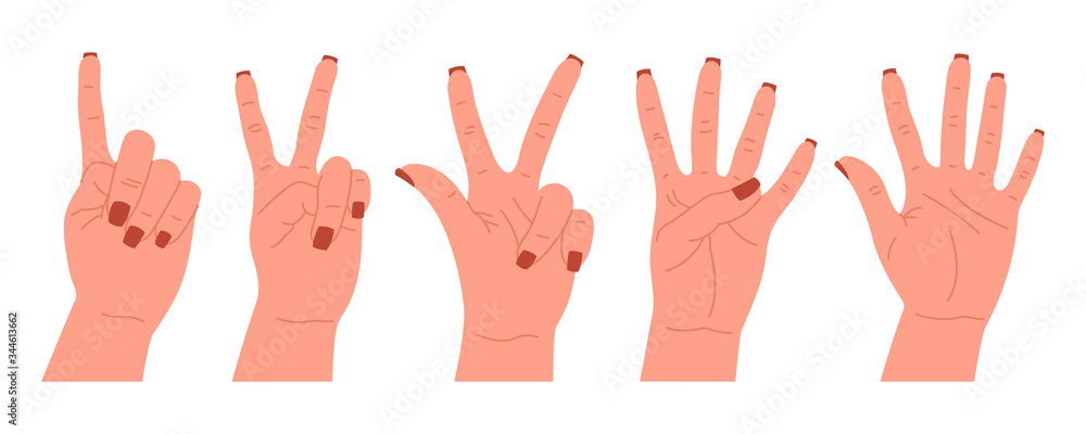 Wall mural Set of hand gestures characters. Various hand icons with fingers. Counting, bending your fingers. Hand drawn colorful trendy vector illustration. Cartoon style flat design. All elements are isolated