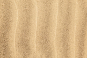 Fototapeta na wymiar Beach sand texture, beach by the sea. Background and texture