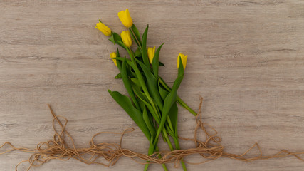 Bukiet żółtych tulipanów  - obrazy, fototapety, plakaty