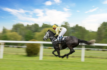 Race horse with jockeys on the home straight. Shaving effect.