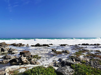 Fototapeta na wymiar Foamy beach with crashing waves from the Ocean and green plants from Riviera Maya located in the Mexican state of Quintana Roo.