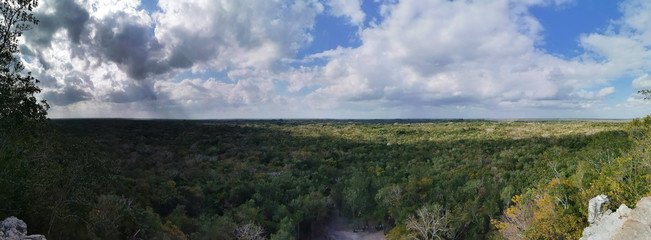 Panoramic view of the tropical forest from the top of the Mayan pyramid (Coba) located in the Mexican state of Quintana Roo.