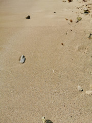 Vertical photo: Sand of a Mexican beach from Riviera Maya with small pebbles and rocks.