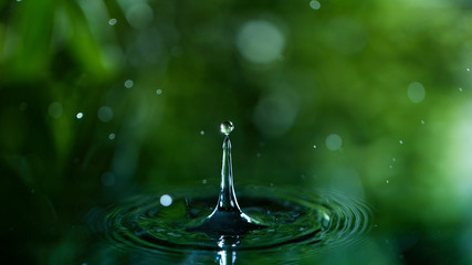 Macro shot of water drop , relaxation with water ripple drops concept