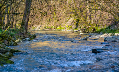 small river at spring time
