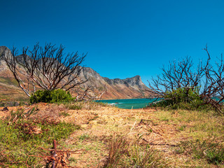 South Africa Atlantic coast with blue sky and pure nature 