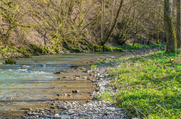 small river at spring time