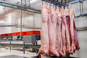 Industrial production of pork meat in a meat factory