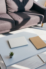 grey sofa and table with laptop, notepad and house plant in sunlight