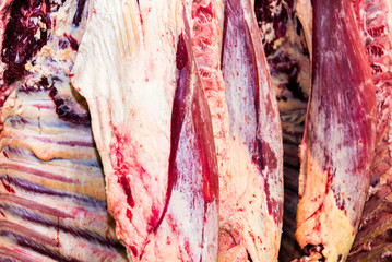 Harvesting cow meat in a meat factory