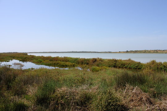 Vendicari, laghi di vendicari, sicilia, siracusa