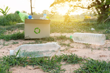 plastic bottles into a box for recycling concept