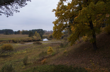 nature autumn