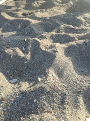 sea sand