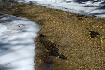 thawing of snow