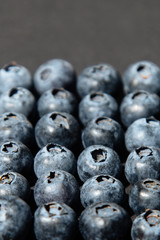 Blueberry antioxidant organic superfood in concept for healthy eating and nutrition. 
Blueberries on gray background