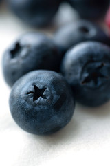 Several blueberris on white background