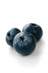 fresh blueberries isolated on a white background