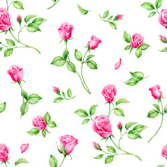 Fototapety  Letnie kwiaty ogrodowe angielskie róże akwarela bezszwowe wzór. Piękne ręcznie rysowane tekstury.