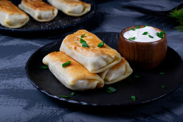 Pancakes with filling are served on the black plate with sour cream and topped with green onion