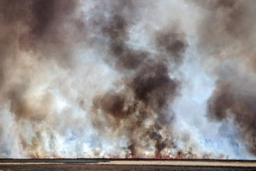 Strong prairie fire with large clouds of choking smoke erupted in southern steppe during the summer drought. The line of fire is coming to town houses. Ecological catastrophy