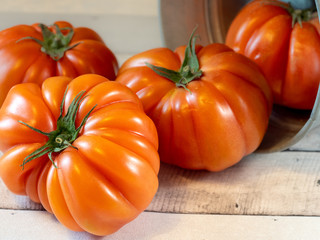 tomatoes in a metal bucket on light table