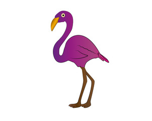 illustration of a pink flamingo