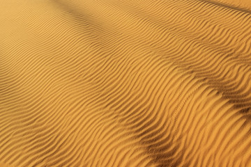 natural sand waves in golden Sahara desert 