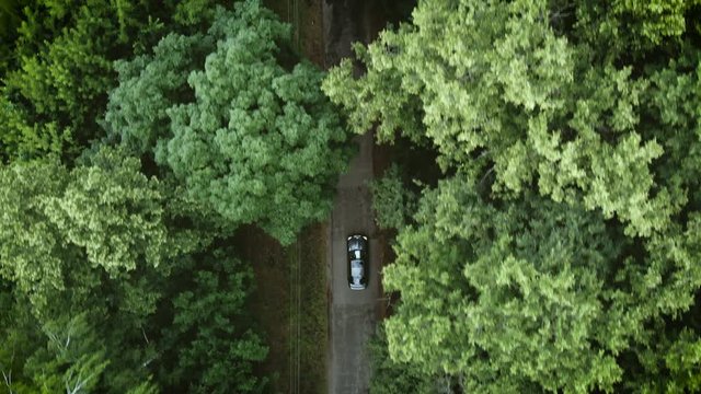 AERIAL, TOP DOWN: Dark colored car driving down an asphalt road crossing the vast forest on a sunny summer day. People on relaxing drive through the idyllic woods in picturesque Slovenian countryside.