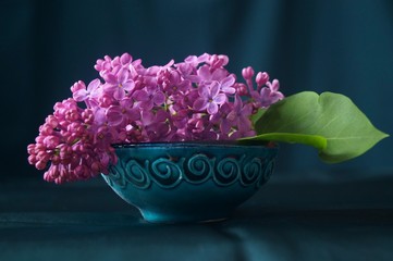 Spring flowers - purple lilac (Syringa vulgaris)
