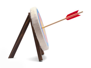 Arrow in Traget Side View