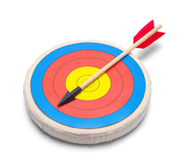 Arrow Laying on Target