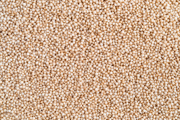Very close view of tiny organic amaranth seeds