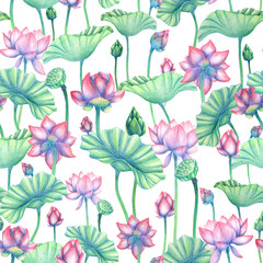 Seamless pattern with pencil lotus flowers. Pattern with water lily. Pencil flowers background. Botanical illustration. Use it for packaging, wrapping, website design, wallpaper, textile, fabrics.