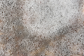 white soapy foam in daylight 