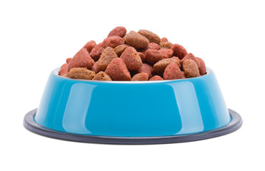 Dog Food Bowl Front View