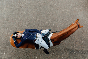 Top view of a girl lies on a horse. Dressage equestrian contest - 344630606