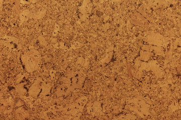 Cork tree texture background. Cork board